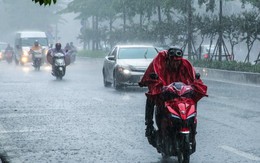 Ngày 25/11: Thanh Hoá có mưa rào và dông vài nơi