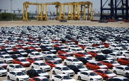 Việt Nam nhập khẩu hơn 3.000 ô tô mỗi ngày