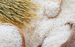 Giá gạo Việt Nam xuất khẩu tăng cao nhất trong 16 tháng qua
