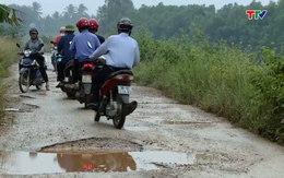 Đê tả sông Yên đoạn qua làng Vũ Yên, thị trấn Nông Cống xuống cấp gây mất an toàn giao thông