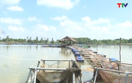 Huyện Triệu Sơn phát triển nuôi trồng thủy sản theo hướng hàng hóa