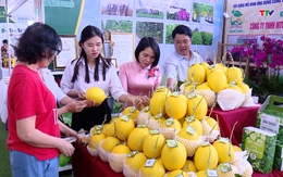 Hội nghị kết nối cung cầu nông sản - thực phẩm an toàn tỉnh Thanh Hóa đạt nhiều kết quả quan trọng