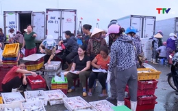 Ngư dân Thanh Hóa tích cực bám biển đánh bắt vụ cá Bắc 2022 - 2023