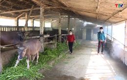 Vệ sinh khử trùng, tiêu độc môi trường để ngăn ngừa dịch bệnh trên đàn gia súc, gia cầm