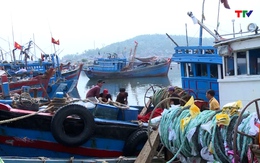 Năm 2022, Thanh Hóa không có tàu cá vi phạm khai thác thủy sản ở vùng biển nước ngoài