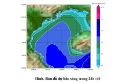 Dự báo sóng lớn trên vùng biển Thanh Hóa từ ngày 4/12 đến 6/12