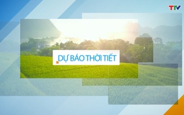 Video: Dự báo thời tiết khu vực tỉnh Thanh Hóa đêm 04/12, ngày 05/12