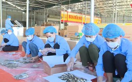 Thanh Hóa có 1.050 chuỗi cung ứng nông sản, thực phẩm an toàn