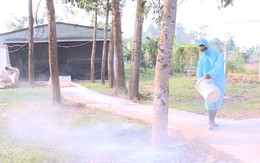 Thực hiện nghiêm công tác vệ sinh khử trùng, tiêu độc môi trường để ngăn ngừa dịch bệnh