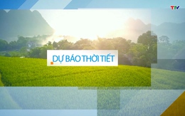 Video: Dự báo thời tiết khu vực tỉnh Thanh Hóa đêm 05/12, ngày 06/12