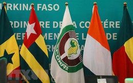 Các nước Tây Phi thống nhất thành lập lực lượng khu vực