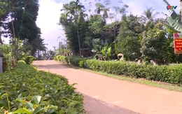 Phong trào “xanh hóa” trong xây dựng Nông thôn mới ở huyện Ngọc Lặc