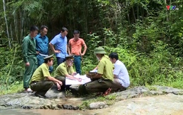 Tăng cường nguồn lực để làm tốt công tác bảo vệ và phát triển rừng