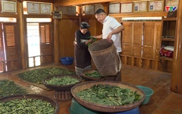 Ông Thoan "nông thôn mới"
