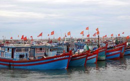 Thanh Hóa: Hơn 6.000 tàu thuyền vào neo đậu, tránh trú bão an toàn