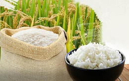 Giá gạo xuất khẩu giảm mạnh