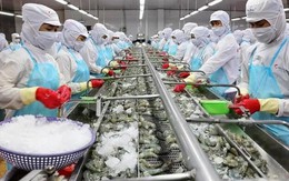 Phấn đấu đến 2025, giá trị xuất khẩu thủy sản đạt 7,8 tỷ USD/năm