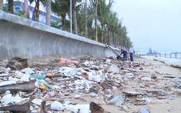 Rác thải nhựa ở Việt Nam gia tăng theo thời gian