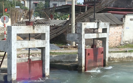 Thanh Hóa: 591 công trình thủy lợi hư hỏng cần sửa chữa