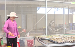 Huyện Hậu Lộc phát triển sản xuất gắn với xây dựng Nông thôn mới