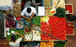 FAO: Giá lương thực toàn cầu hạ nhiệt