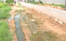 Cần có giải pháp xử lý tình trạng ô nhiễm môi trường tại xã Liên Lộc, huyện Hậu Lộc