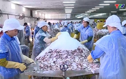 Thị xã Nghi Sơn: Hơn 7.000 lao động trong lĩnh vực kinh tế biển
