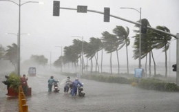 Ứng phó với áp thấp nhiệt đới có khả năng mạnh lên thành bão trong những ngày tới