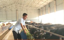 Triệu Sơn: Cung ứng cho thị trường 138 tấn nông sản an toàn