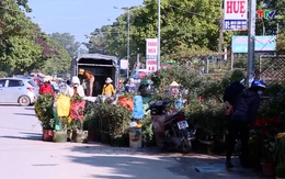 Thành phố Thanh Hoá đảm bảo trật tự đô thị