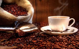 Xuất khẩu cà phê chạm mốc 4 tỷ USD