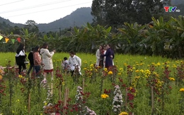 Các di tích, điểm du lịch trên địa bàn huyện Thường Xuân thu hút đông du khách dịp đầu xuân