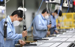 Hơn 500 lao động ở Thanh Hóa bị nợ lương dịp Tết