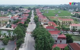 Vĩnh Lộc triển khai thực hiện Nghị quyết về phát triển Quy hoạch đô thị Bồng
