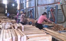 Doanh nghiệp gỗ cần tuân thủ quy định để được hoàn thuế