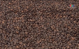 Hiệp định EVFTA: “Đòn bẩy” cho xuất khẩu cà phê vào EU
