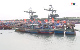 Dự án bến số 3, Cảng container Long Sơn ít gây ảnh hưởng đến ngư trường khai thác của người dân