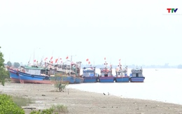 EC đánh giá cao chuyển biến nghề cá có trách nhiệm của Việt Nam