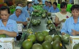 Trung Quốc là thị trường lớn nhất của nông sản Việt Nam