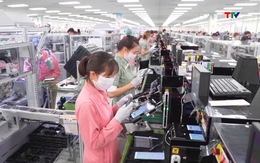 Việt Nam thu hút FDI ngành chế biến, chế tạo