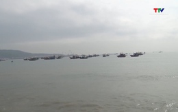 Kiên trì vận động người dân đồng thuận triển khai dự án bến cảng số 3, cảng container Long Sơn