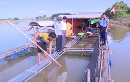 Phát triển nuôi trồng thủy sản trong lòng hồ thủy lợi