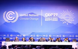 COP28 ưu tiên vấn đề thích ứng với biến đổi khí hậu trong chương trình nghị sự