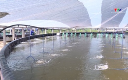 Ứng dụng công nghệ mới trong nuôi trồng thủy sản