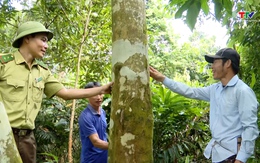Tăng cường các giải pháp ngăn chặn xâm lấn đất rừng
