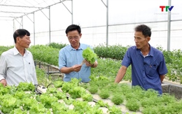 Thanh Hóa ưu tiên phát triển nông nghiệp xanh