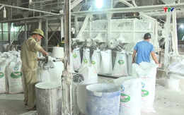 Sắn và sản phẩm sắn cán đích tỷ USD sau 10 tháng xuất khẩu