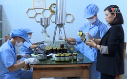 Mô hình khởi nghiệp từ sản xuất và phát triển các sản phẩm thảo dược