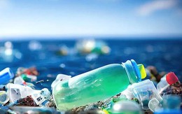 Châu Âu cấm xuất khẩu rác thải nhựa sang nước nghèo