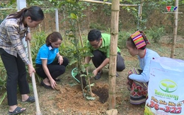 Trao vật tư cho Tổ hợp tác trồng chanh leo do phụ nữ làm chủ xã Thanh Sơn